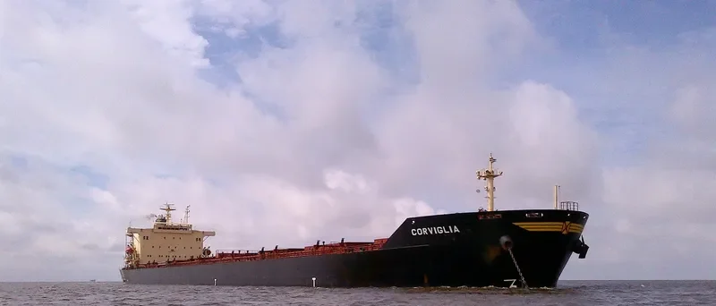 OCEANIC GODNESS Bulk Carrier IMO 9176747 photo 7