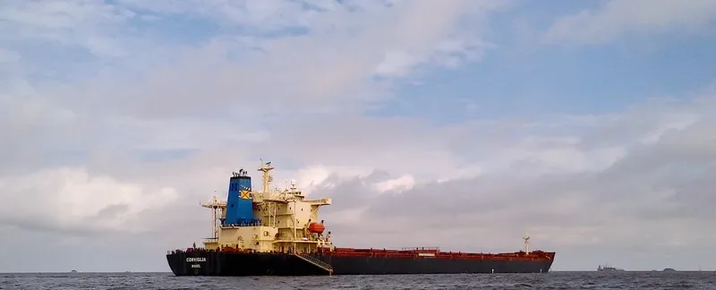 OCEANIC GODNESS Bulk Carrier IMO 9176747 photo 8