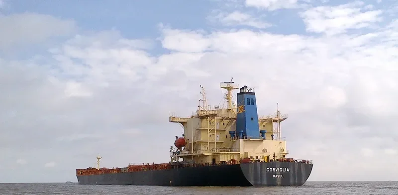 OCEANIC GODNESS Bulk Carrier IMO 9176747 photo 9