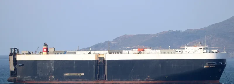 GREEN RIDGE General Cargo IMO 9177428 photo 2