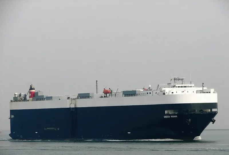 GREEN RIDGE General Cargo IMO 9177428 photo 6