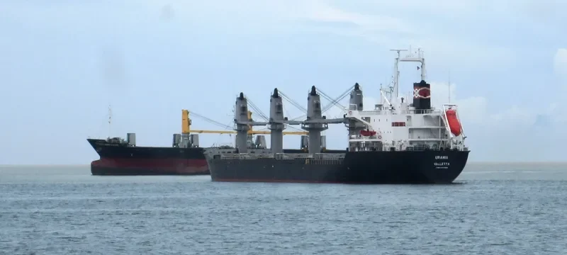 DINA OCEAN Bulk Carrier IMO 9177480
