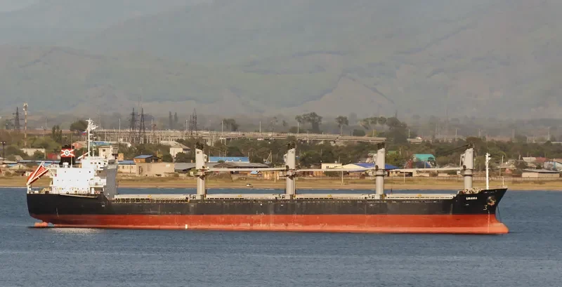 DINA OCEAN Bulk Carrier IMO 9177480 photo 2
