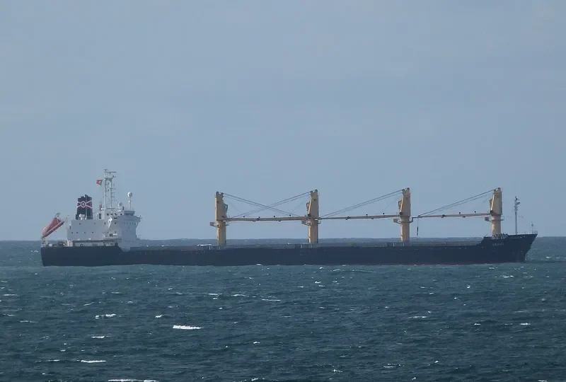 DINA OCEAN Bulk Carrier IMO 9177480 photo 8