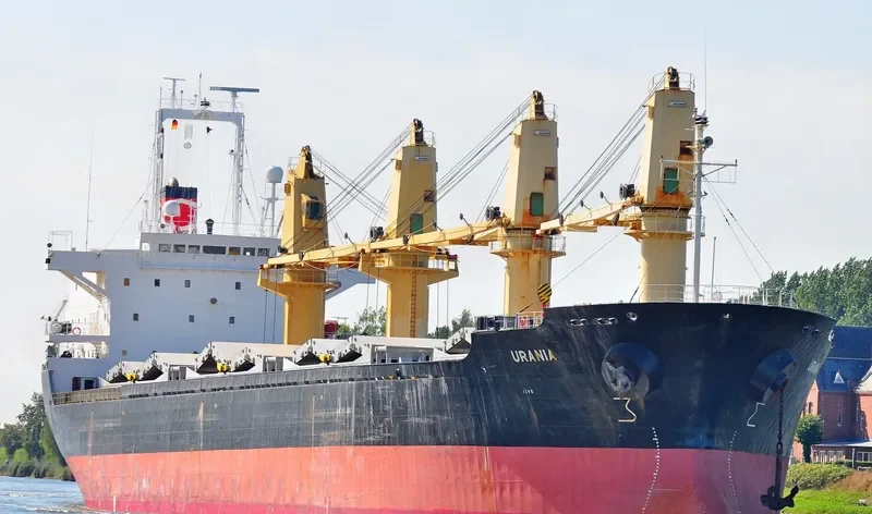 DINA OCEAN Bulk Carrier IMO 9177480 photo 10