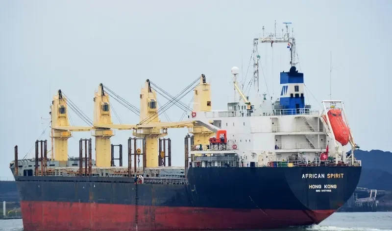 HARVEY WELL Bulk Carrier IMO 9177492 photo 4