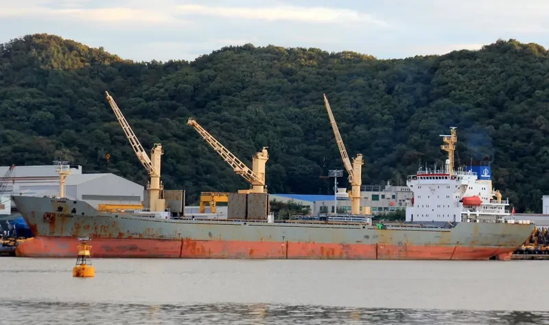 LE DING General Cargo IMO 9177507 photo 8