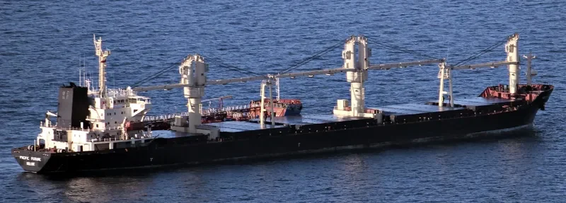 HAI XING Container Ship IMO 9177636 photo 4