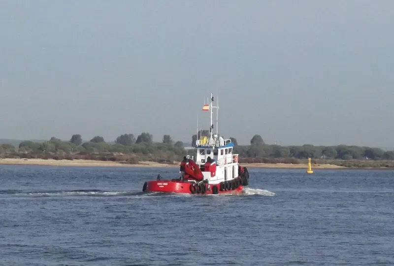 TARAFDAR General Cargo IMO 9177741