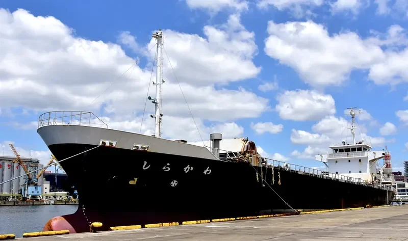 SIRAKAWA General Cargo IMO 9178006 photo 4