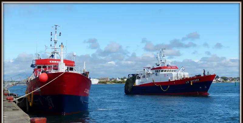 CORAIL General Cargo IMO 9178147 photo 2