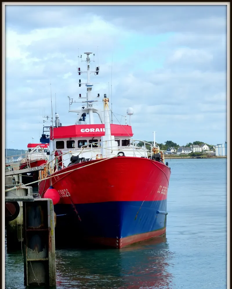 CORAIL General Cargo IMO 9178147 photo 7