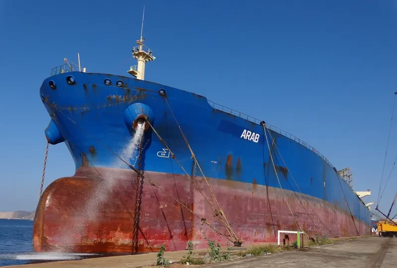 BORONIA Tanker IMO 9178329 photo 5