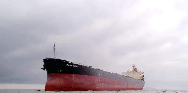 CHANG SHENG Bulk Carrier IMO 9178408 photo 3