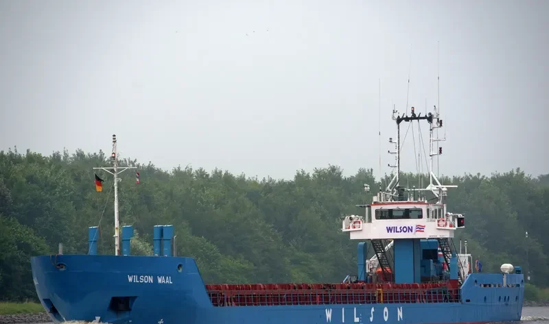 WILSON WAAL General Cargo IMO 9178446 photo 7
