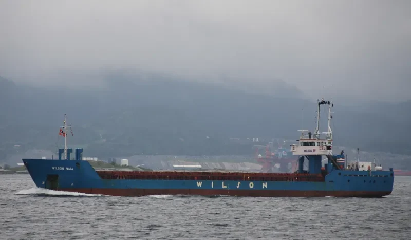 WILSON WAAL General Cargo IMO 9178446 photo 9