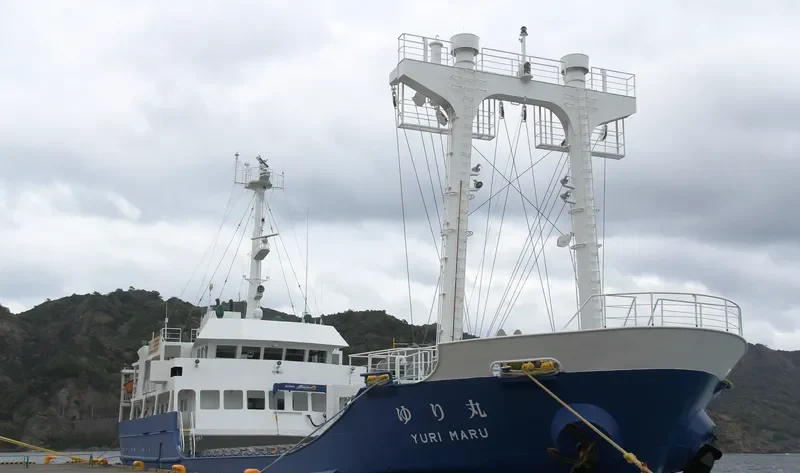 YURI MARU Passenger Ship IMO 9178484 photo 4