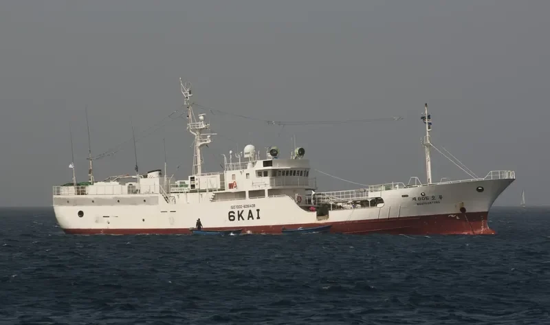 NO.805 ORYONG General Cargo IMO 9178587 photo 2
