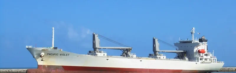 PACIFIC VIOLET General Cargo IMO 9178654 photo 2