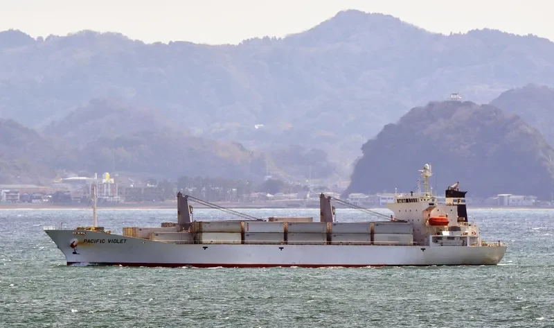 PACIFIC VIOLET General Cargo IMO 9178654 photo 4