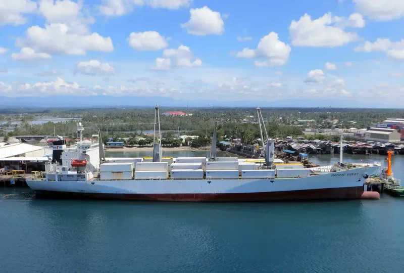 PACIFIC VIOLET General Cargo IMO 9178654 photo 7
