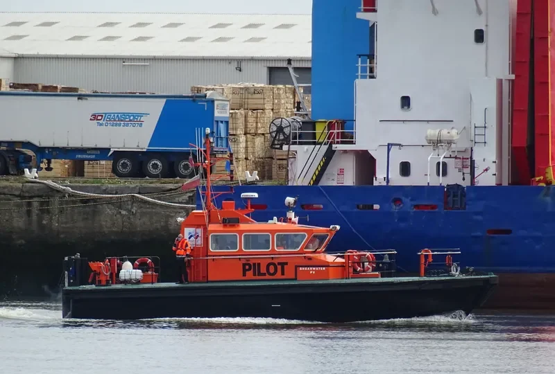BEWICK General Cargo IMO 9178783 photo 3