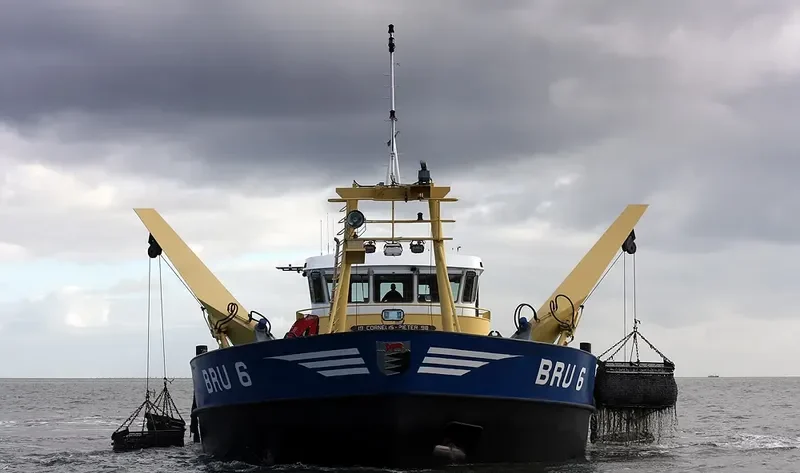 BRU 36 JOHANNES CORNELIS General Cargo IMO 9179086 photo 8