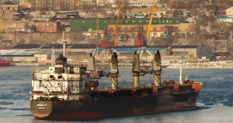 MONICA P Bulk Carrier IMO 9179218 photo 2