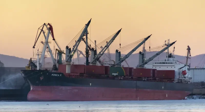 MONICA P Bulk Carrier IMO 9179218 photo 5