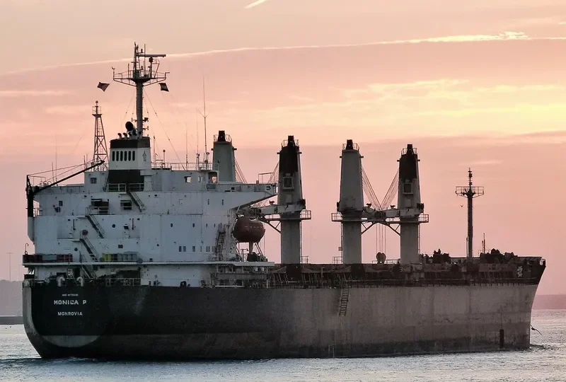 MONICA P Bulk Carrier IMO 9179218 photo 6