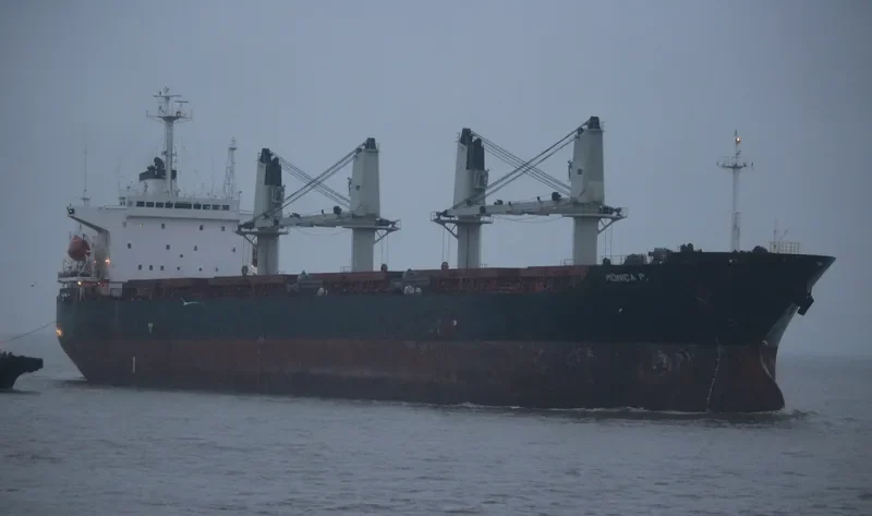 MONICA P Bulk Carrier IMO 9179218 photo 10