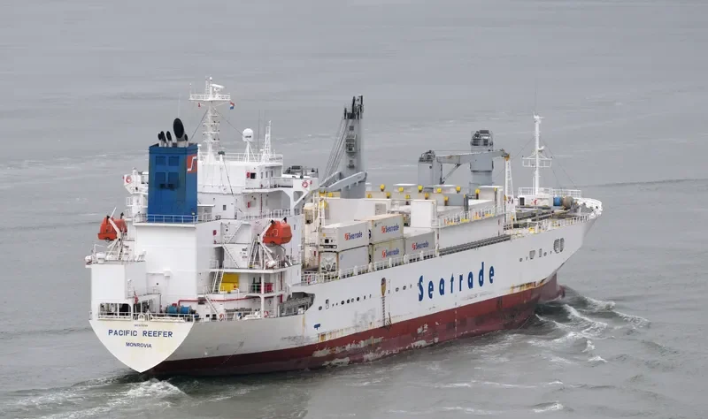 PACIFIC REEFER General Cargo IMO 9179268 photo 3