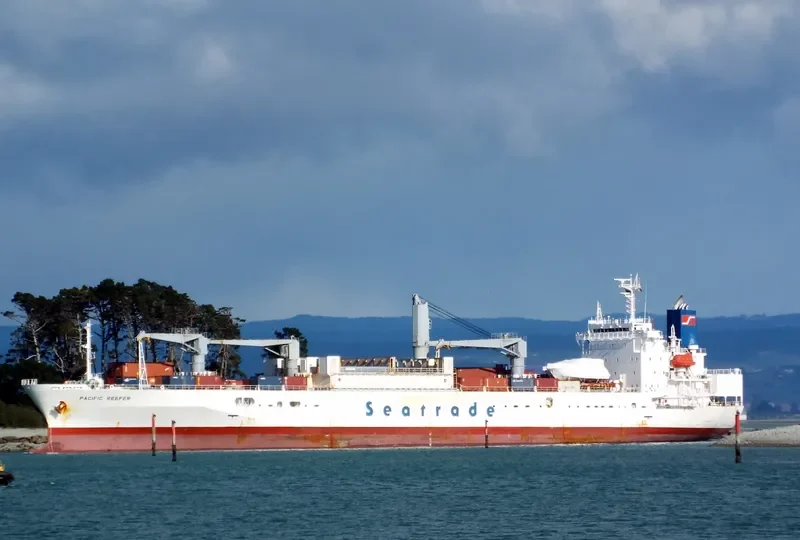 PACIFIC REEFER General Cargo IMO 9179268 photo 10