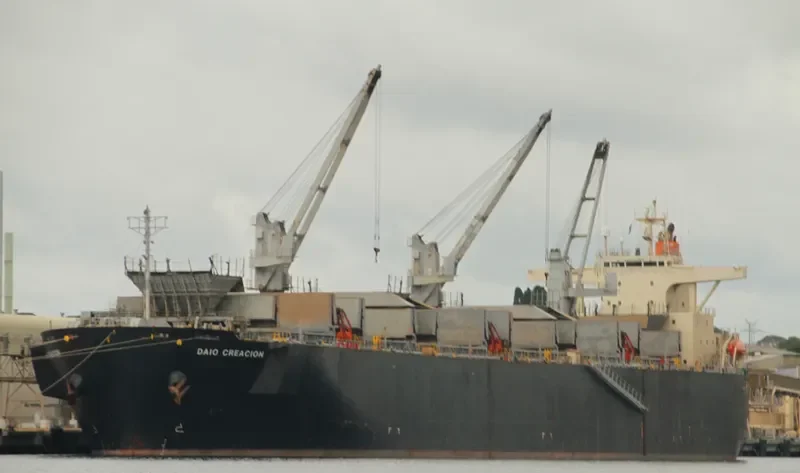 DAIO CREACION Bulk Carrier IMO 9179309