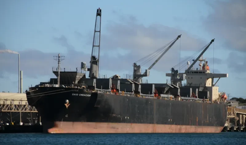 DAIO CREACION Bulk Carrier IMO 9179309 photo 2