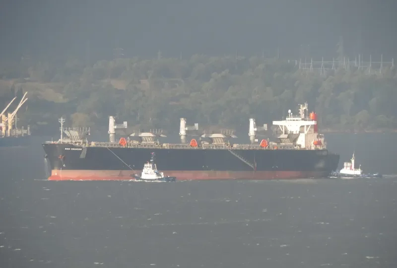 DAIO CREACION Bulk Carrier IMO 9179309 photo 8