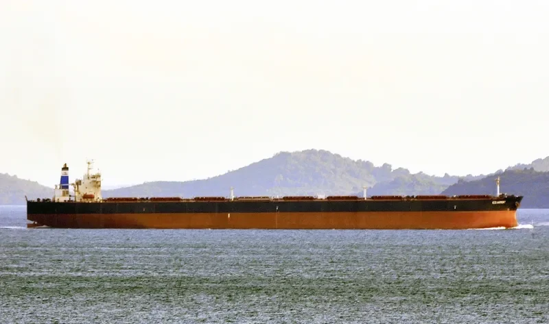 RZS HARMONY Bulk Carrier IMO 9179579