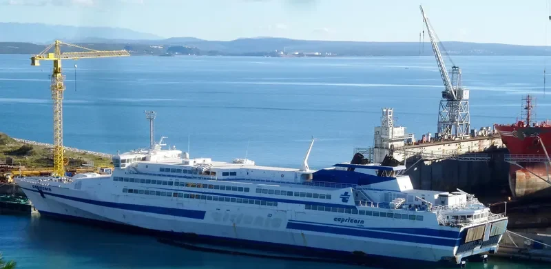 CAPRICORN Ro-Ro IMO 9179658 photo 8