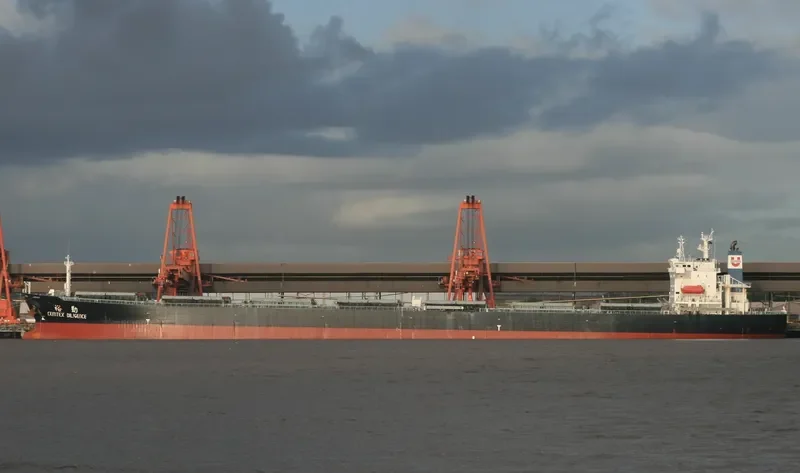 TEX Bulk Carrier IMO 9179787 photo 3