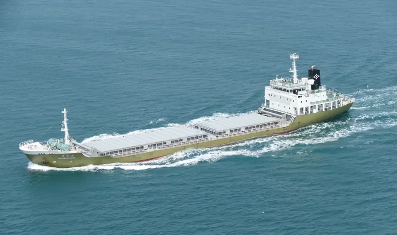 SHINSHO General Cargo IMO 9179957