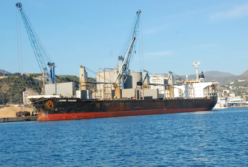DONG THANH Bulk Carrier IMO 9180035 photo 7