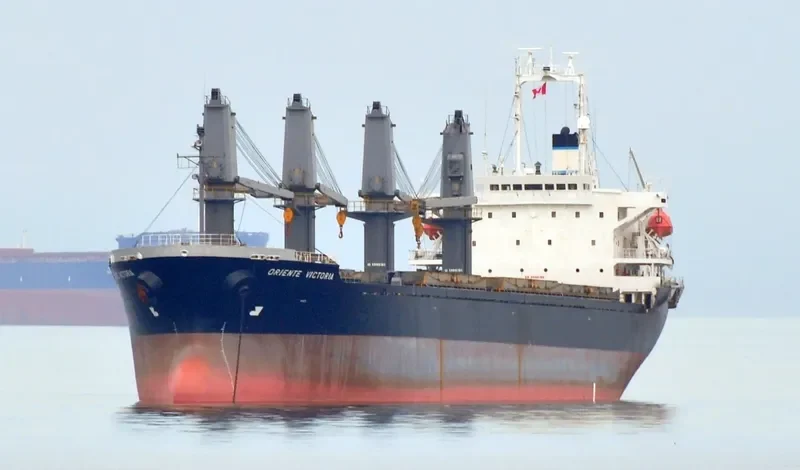 BMC CALYPSO Bulk Carrier IMO 9180334 photo 2