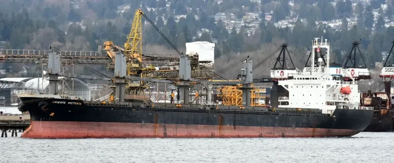 BMC CALYPSO Bulk Carrier IMO 9180334 photo 4