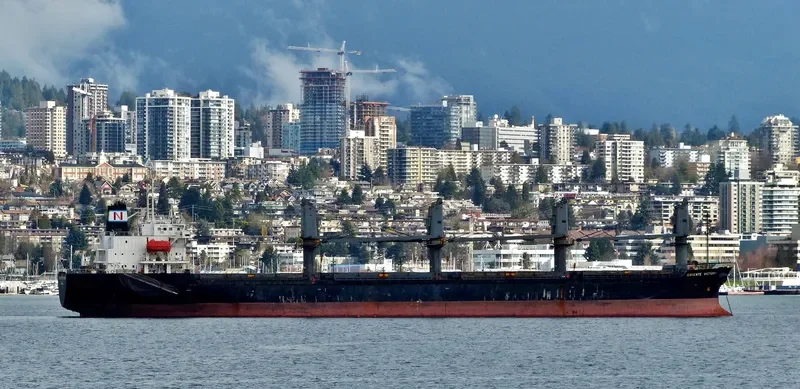 BMC CALYPSO Bulk Carrier IMO 9180334 photo 5