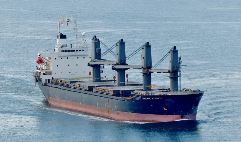 BMC CALYPSO Bulk Carrier IMO 9180334 photo 7