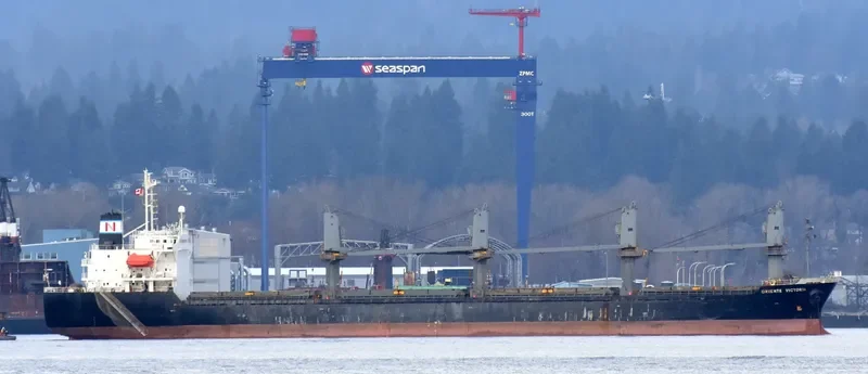 BMC CALYPSO Bulk Carrier IMO 9180334 photo 9