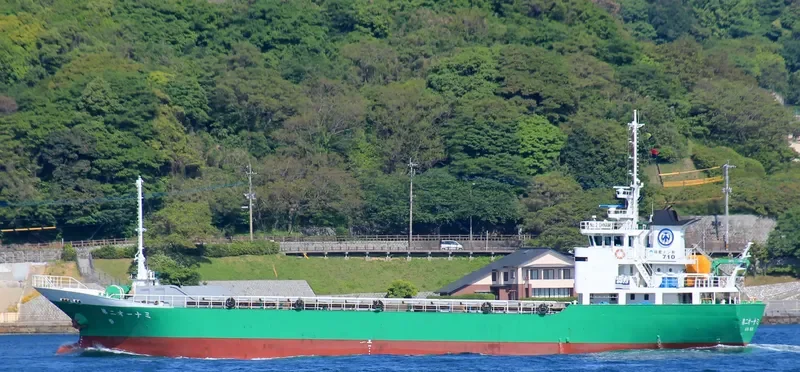 ONAMI NO.2 General Cargo IMO 9180621 photo 3