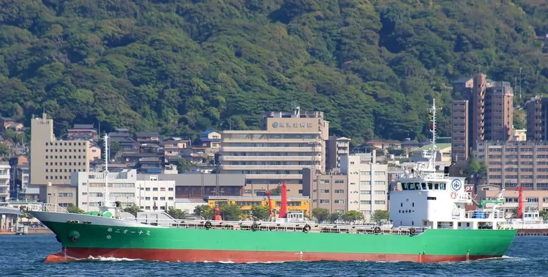 ONAMI NO.2 General Cargo IMO 9180621 photo 4