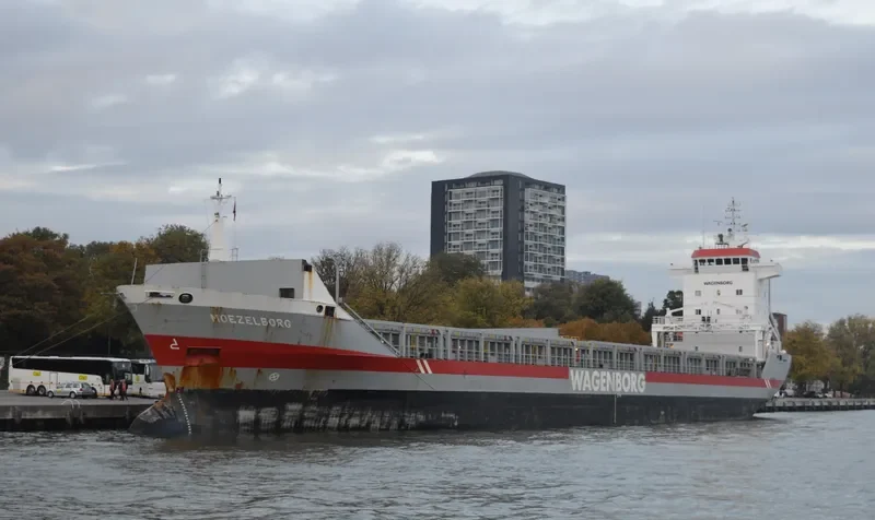 MOEZELBORG General Cargo IMO 9180839 photo 5