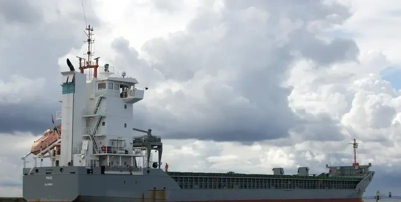 MAXI General Cargo IMO 9180865 photo 7